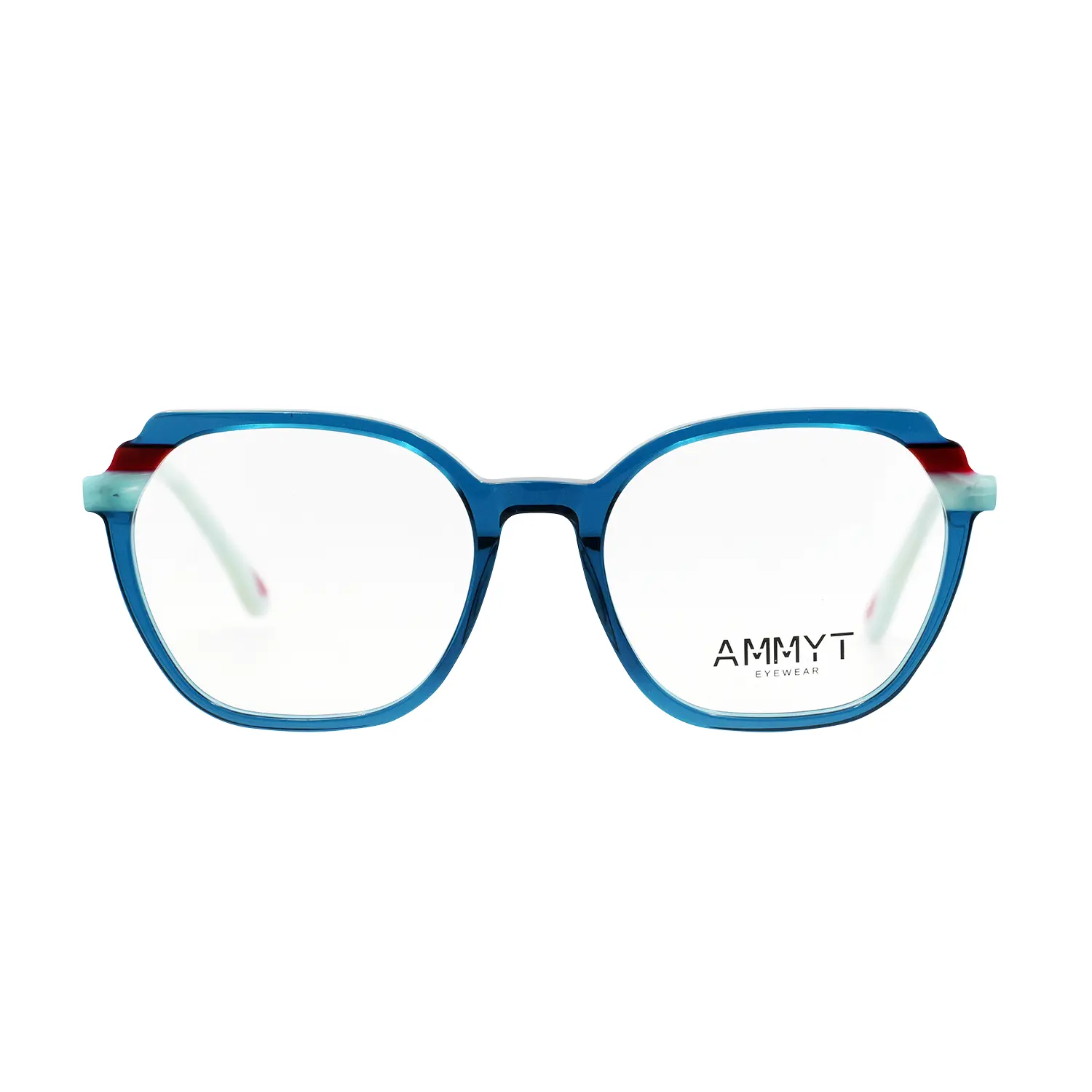 AMMYT AM6011