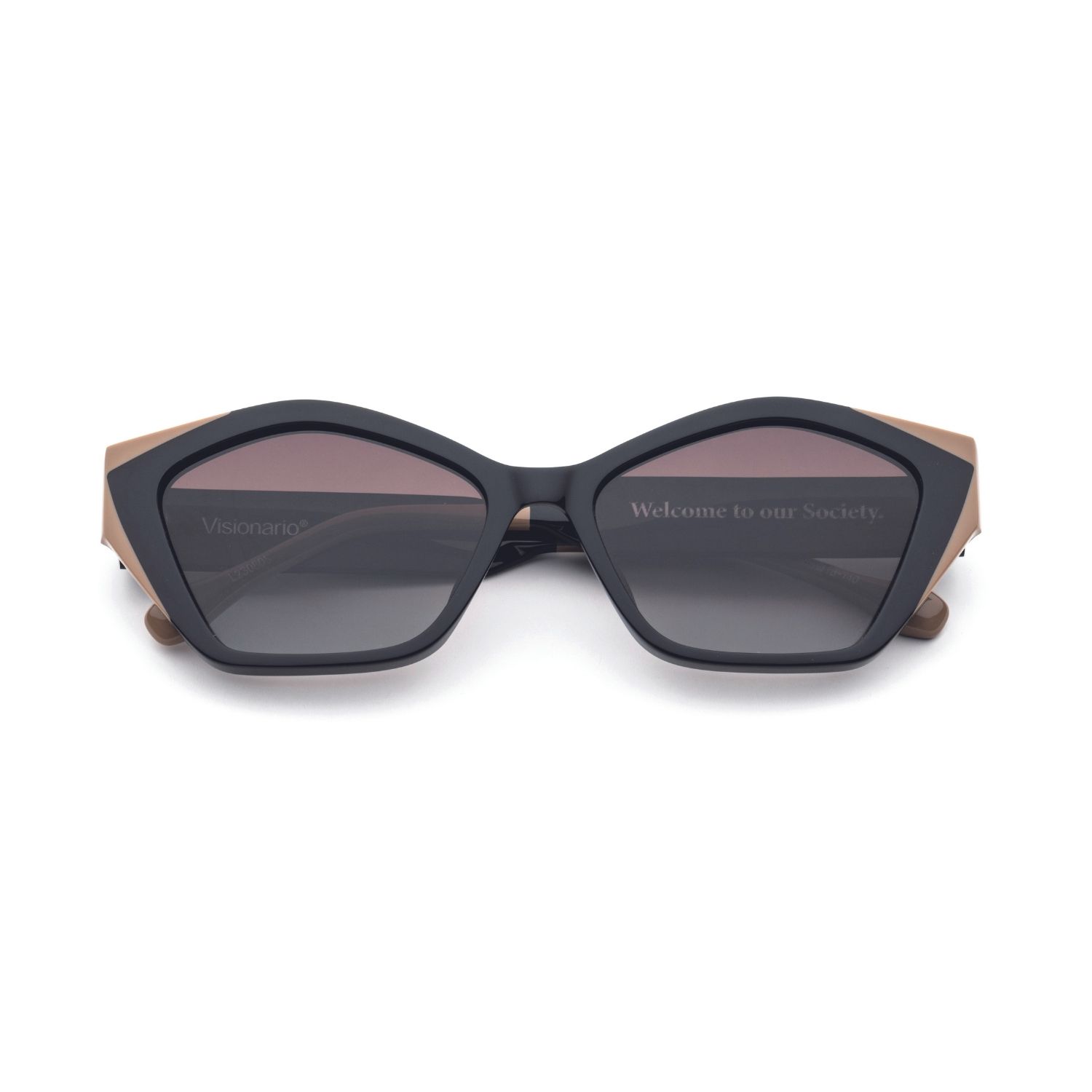 Gafas de sol Visionario Fox 01