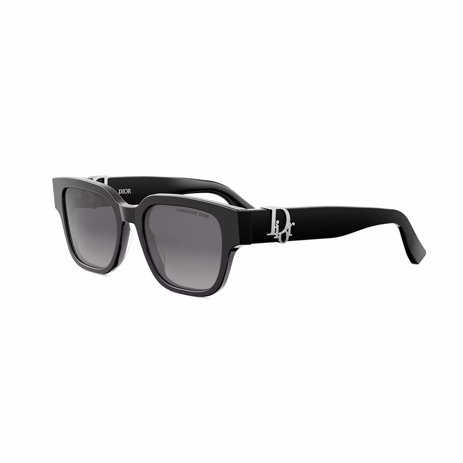 DIOR OBLIQUE S1I